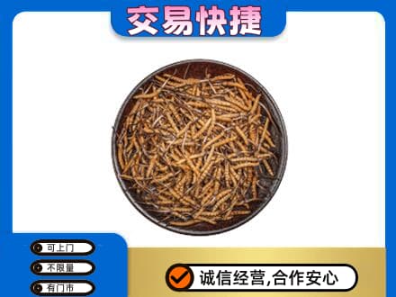 石家庄市高邑高价回收散虫草